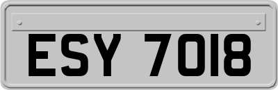 ESY7018