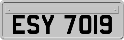 ESY7019