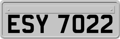 ESY7022