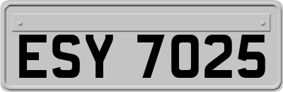 ESY7025