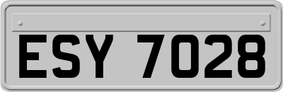 ESY7028