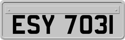 ESY7031