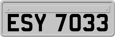 ESY7033