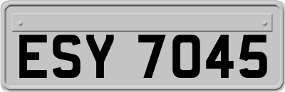 ESY7045