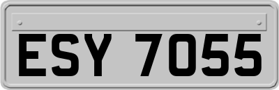 ESY7055