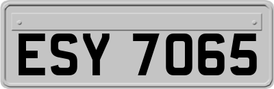ESY7065