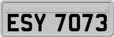 ESY7073