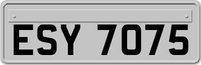 ESY7075