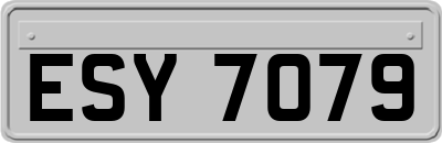 ESY7079