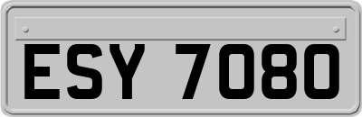 ESY7080
