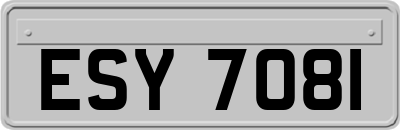 ESY7081