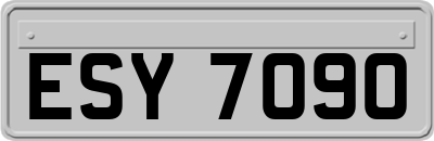 ESY7090