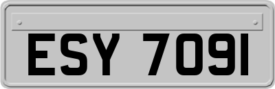 ESY7091