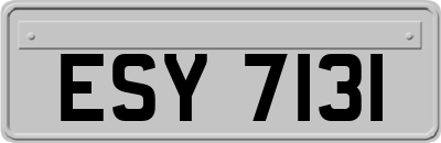ESY7131