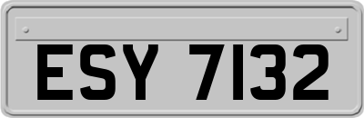 ESY7132