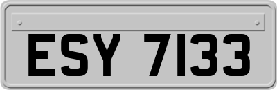 ESY7133