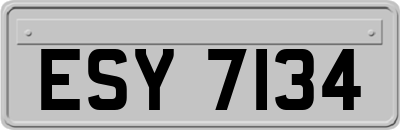 ESY7134