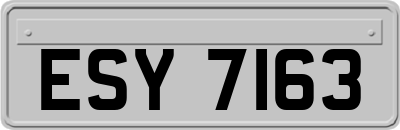 ESY7163