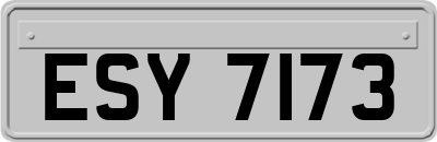 ESY7173