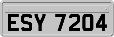 ESY7204