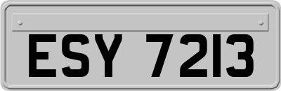 ESY7213
