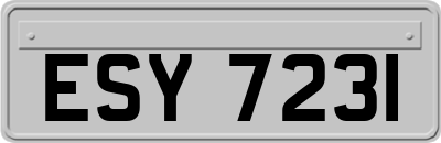 ESY7231