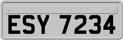 ESY7234
