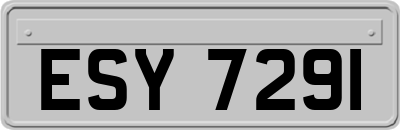 ESY7291