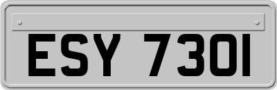 ESY7301