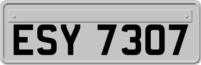 ESY7307