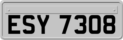 ESY7308