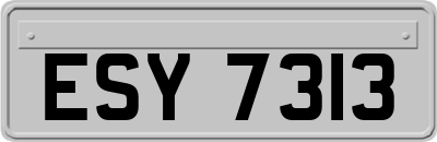ESY7313