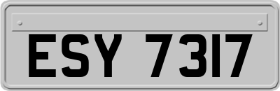 ESY7317