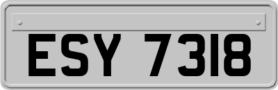 ESY7318