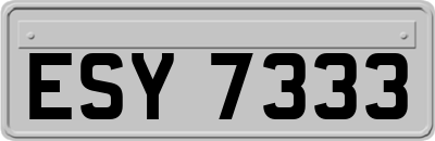 ESY7333