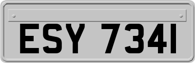 ESY7341