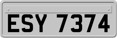 ESY7374