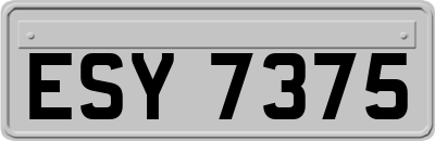 ESY7375