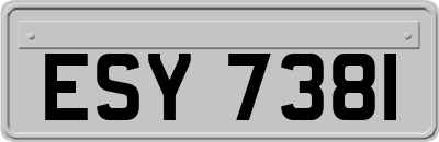 ESY7381