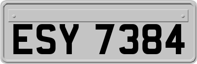 ESY7384