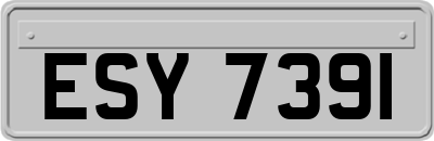 ESY7391