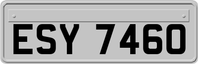 ESY7460