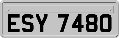 ESY7480
