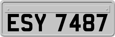 ESY7487