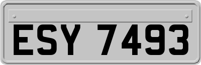 ESY7493