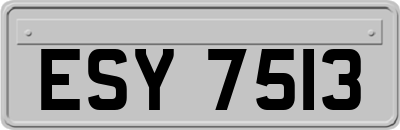 ESY7513