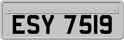 ESY7519