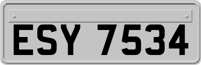ESY7534