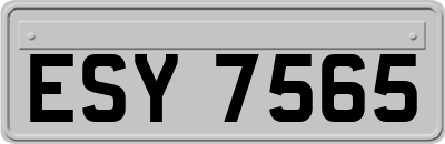 ESY7565