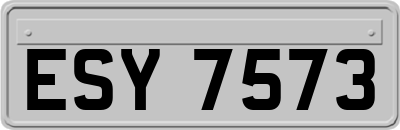 ESY7573